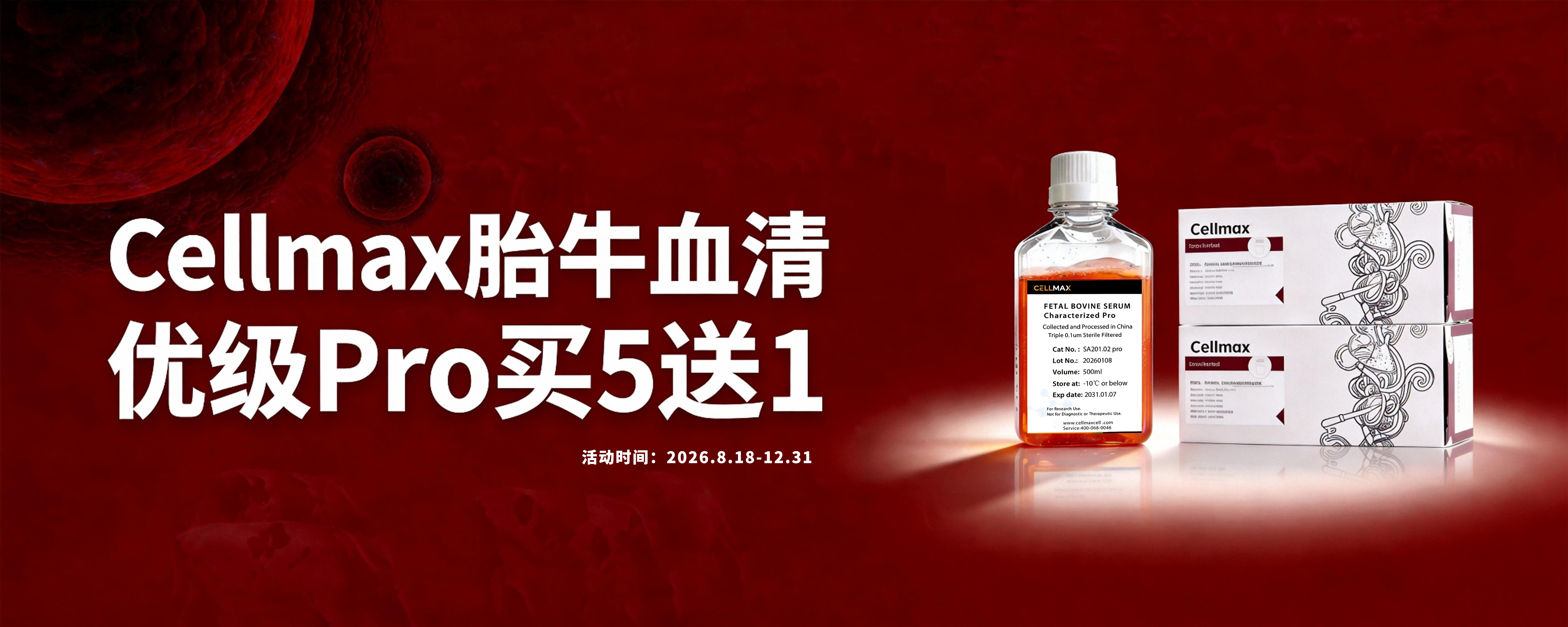 细胞培养