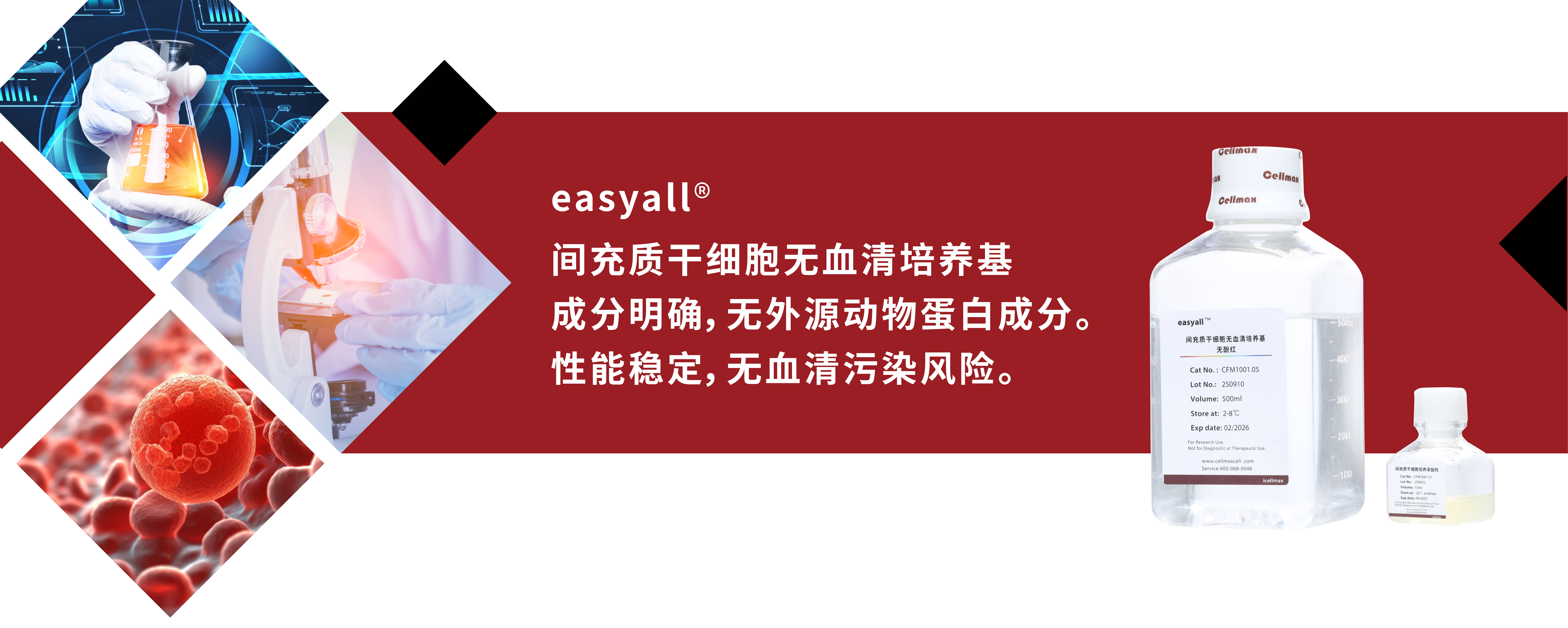 MSC无血清