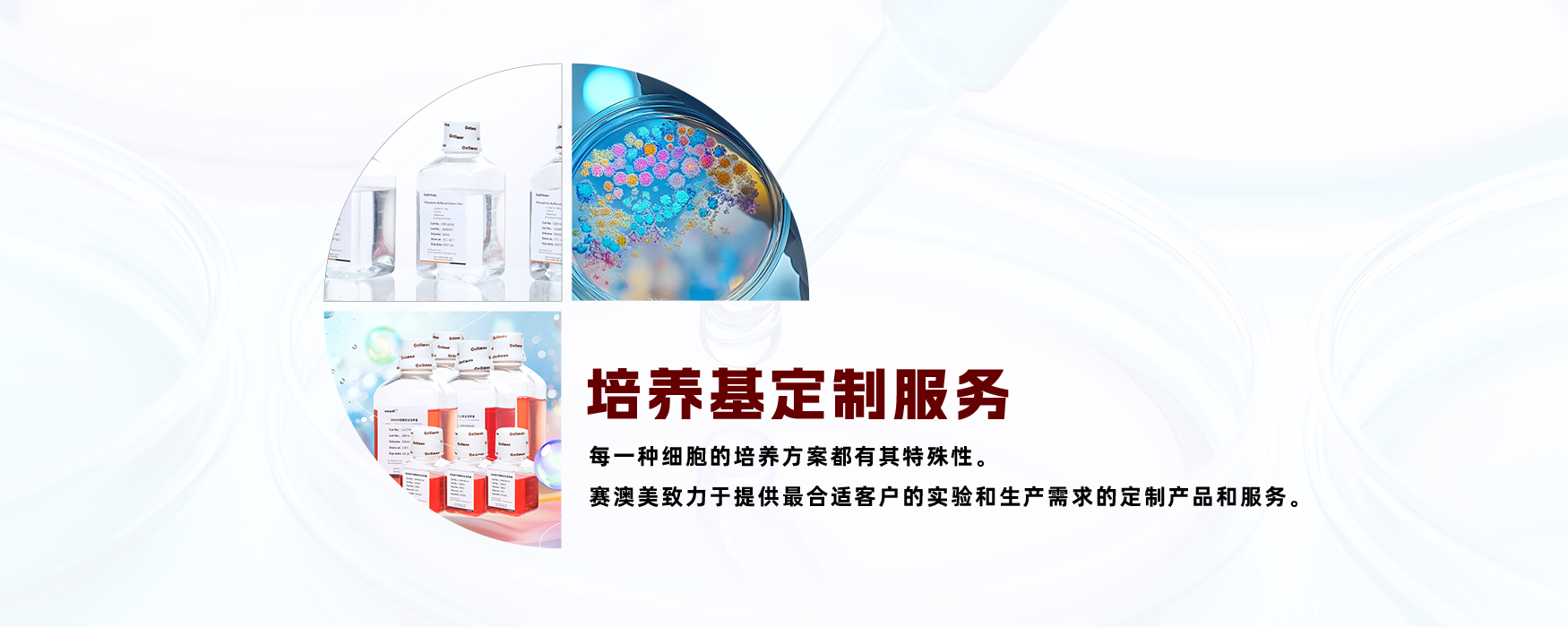 培养基定制